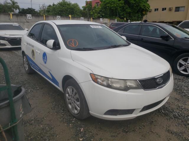 KIA FORTE EX 2010 knafu4a24a5834280