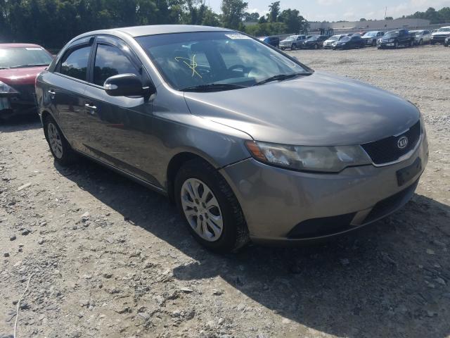 KIA FORTE EX 2010 knafu4a24a5835574