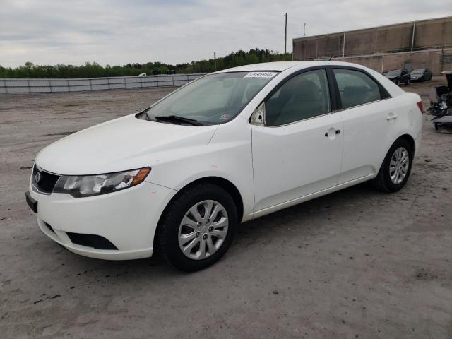 KIA FORTE 2010 knafu4a24a5836689