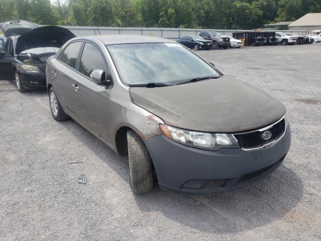 KIA FORTE EX 2010 knafu4a24a5843125