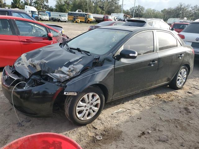 KIA FORTE EX 2010 knafu4a24a5847336