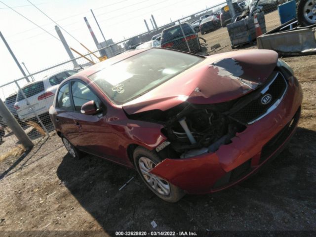 KIA FORTE 2010 knafu4a24a5859230