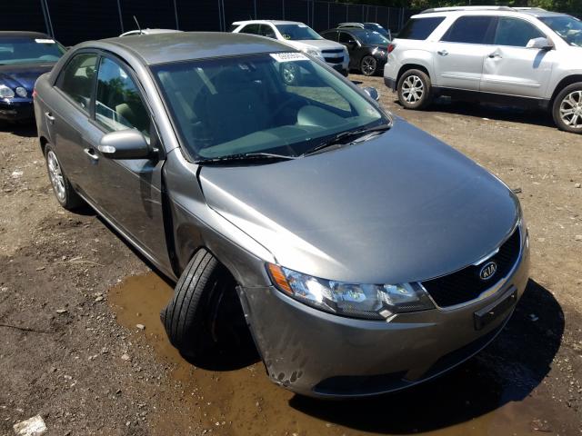 KIA FORTE EX 2010 knafu4a24a5859874