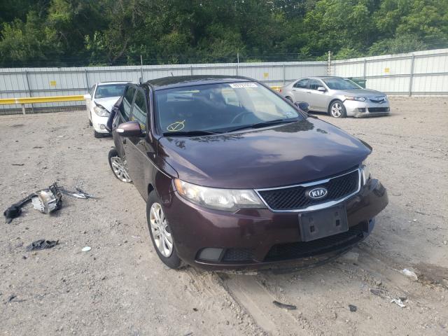 KIA FORTE EX 2010 knafu4a24a5869238