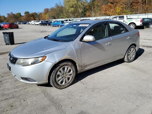 KIA FORTE 2010 knafu4a24a5874083