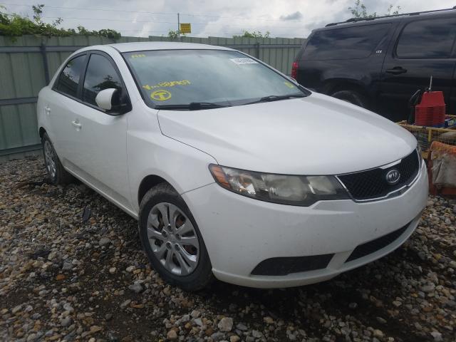 KIA FORTE EX 2010 knafu4a24a5881969