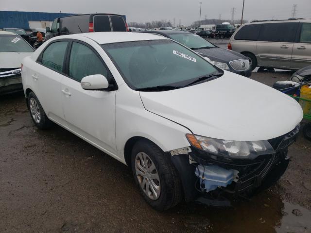 KIA FORTE EX 2010 knafu4a24a5882331