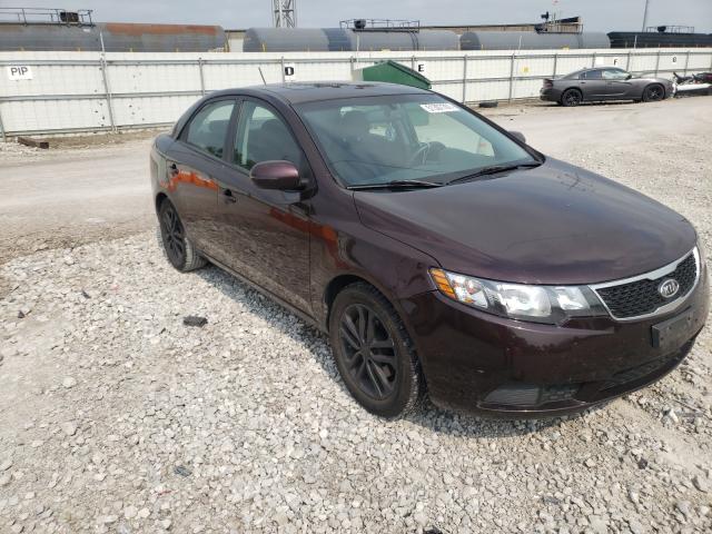 KIA FORTE EX 2011 knafu4a24b5333407