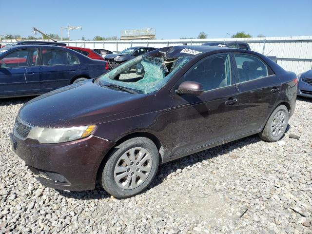 KIA FORTE EX 2011 knafu4a24b5358517