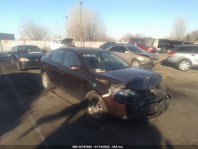 KIA FORTE 2011 knafu4a24b5392215