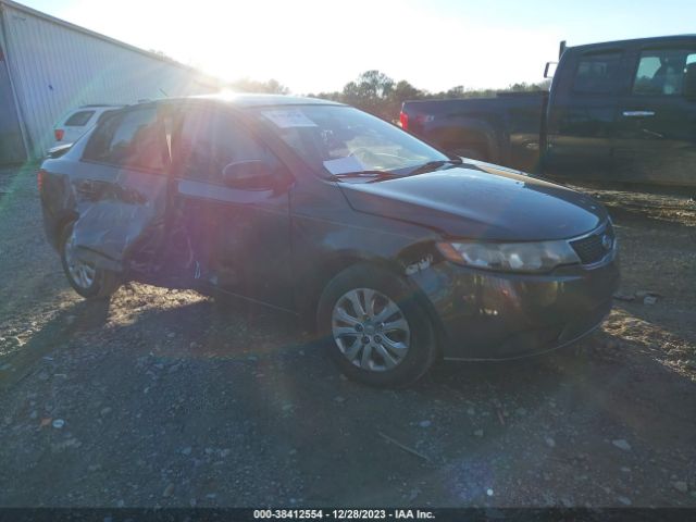 KIA FORTE 2011 knafu4a24b5403665