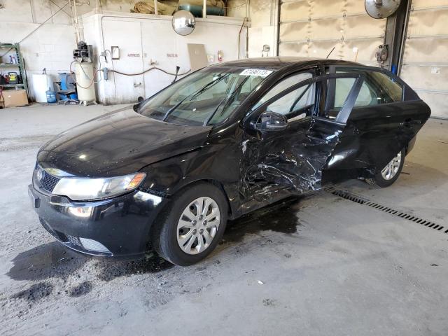 KIA FORTE EX 2011 knafu4a24b5413239