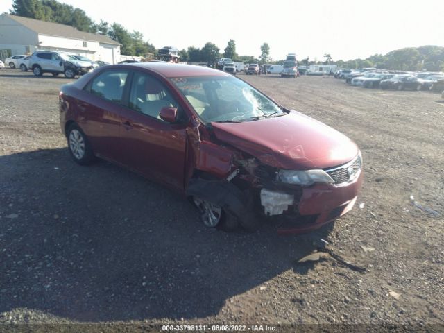 KIA FORTE 2011 knafu4a24b5429957