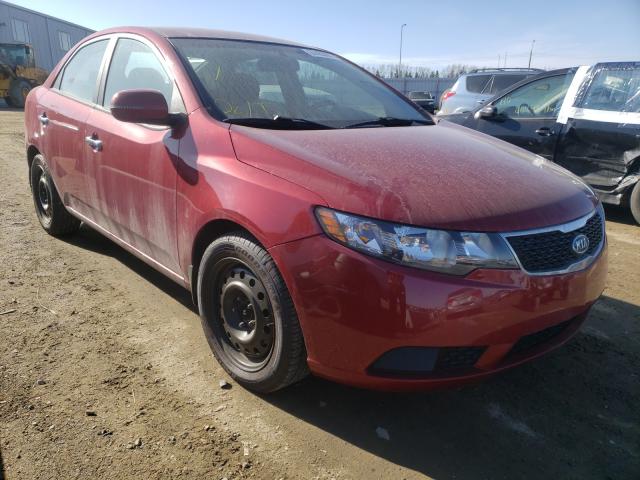 KIA FORTE EX 2011 knafu4a24b5451845