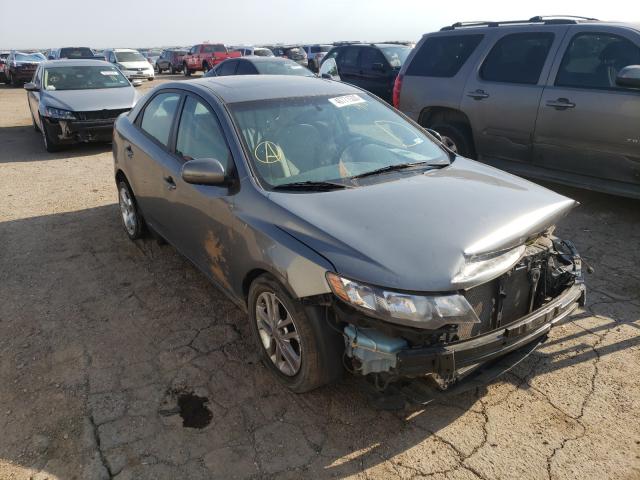 KIA FORTE EX 2011 knafu4a24b5459184