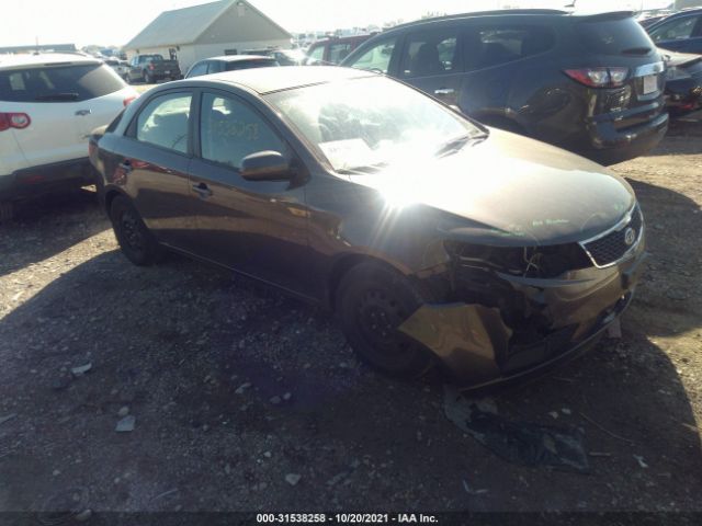 KIA FORTE 2011 knafu4a24b5461842