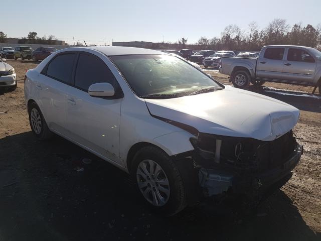 KIA FORTE EX 2011 knafu4a24b5462019