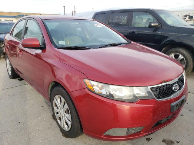 KIA FORTE EX 2011 knafu4a24b5885828