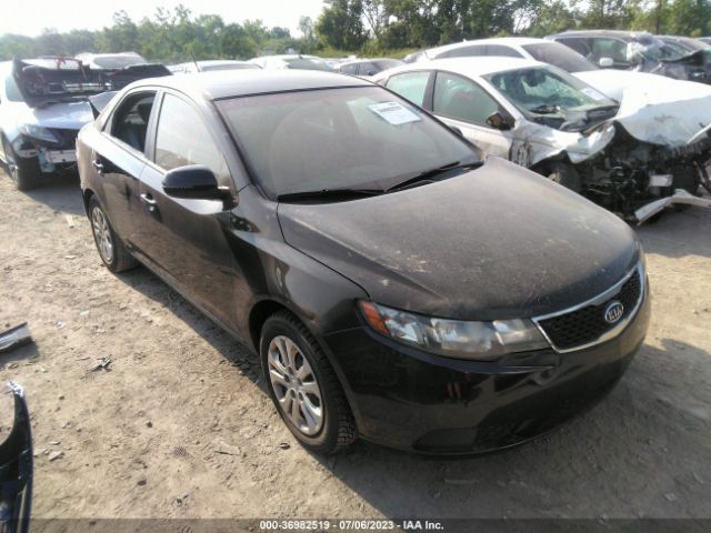 KIA FORTE 2012 knafu4a24c5481557