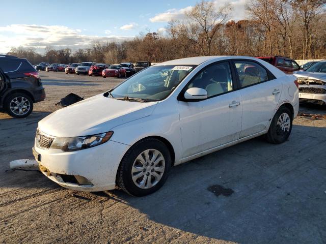 KIA FORTE EX 2012 knafu4a24c5485821