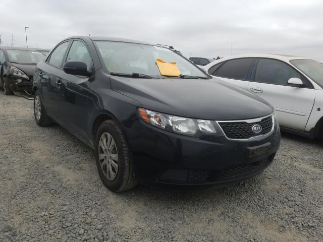 KIA FORTE EX 2012 knafu4a24c5557116