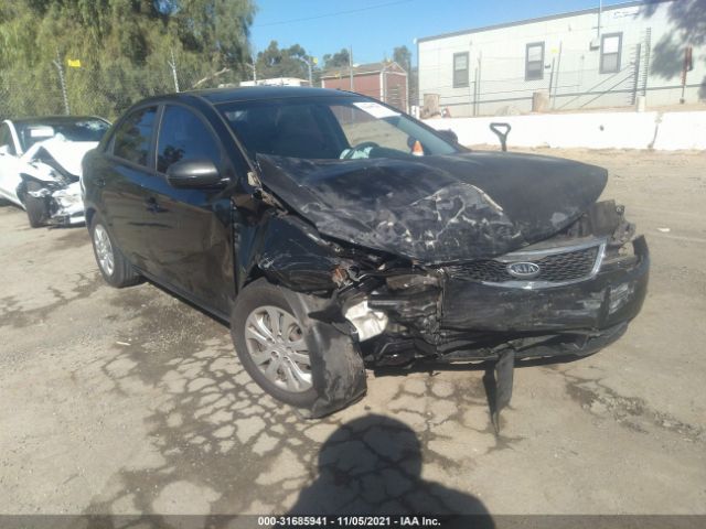 KIA FORTE 2012 knafu4a24c5569301