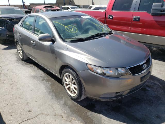 KIA FORTE EX 2013 knafu4a24d5646377