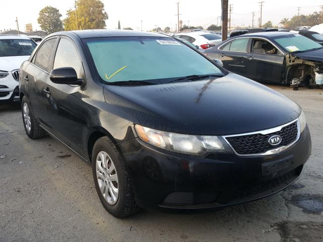 KIA FORTE EX 2013 knafu4a24d5646864