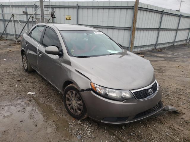 KIA FORTE EX 2013 knafu4a24d5665799