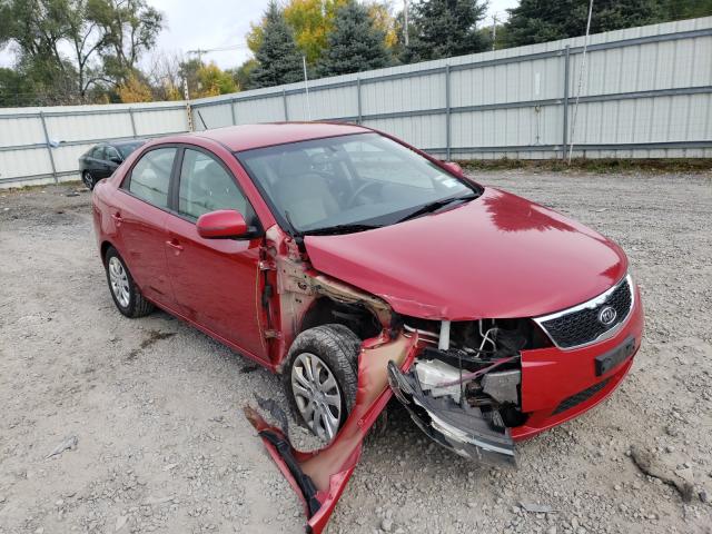 KIA FORTE EX 2013 knafu4a24d5666631