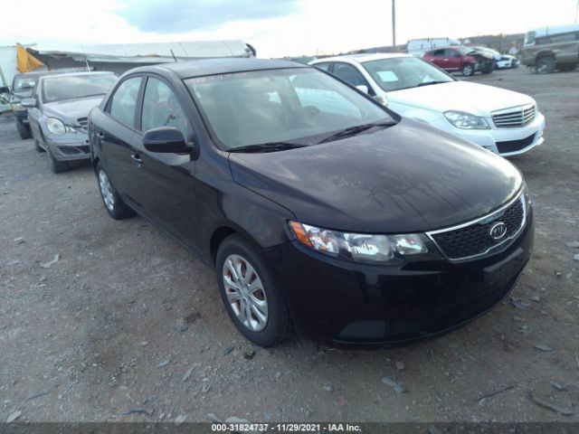 KIA FORTE 2013 knafu4a24d5675782