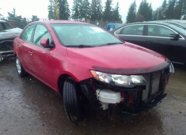 KIA FORTE 2013 knafu4a24d5684529