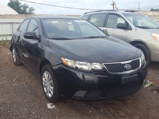 KIA FORTE EX 2013 knafu4a24d5698415