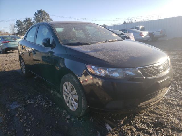 KIA FORTE EX 2013 knafu4a24d5714127