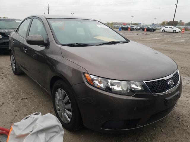 KIA FORTE EX 2013 knafu4a24d5715729