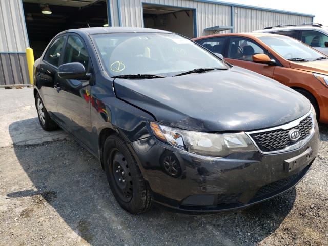 KIA FORTE EX 2013 knafu4a24d5720641