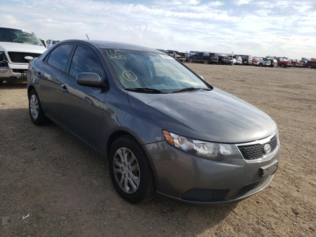 KIA FORTE EX 2013 knafu4a24d5722874