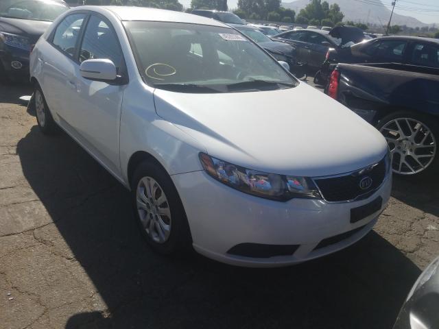 KIA FORTE EX 2013 knafu4a24d5724821