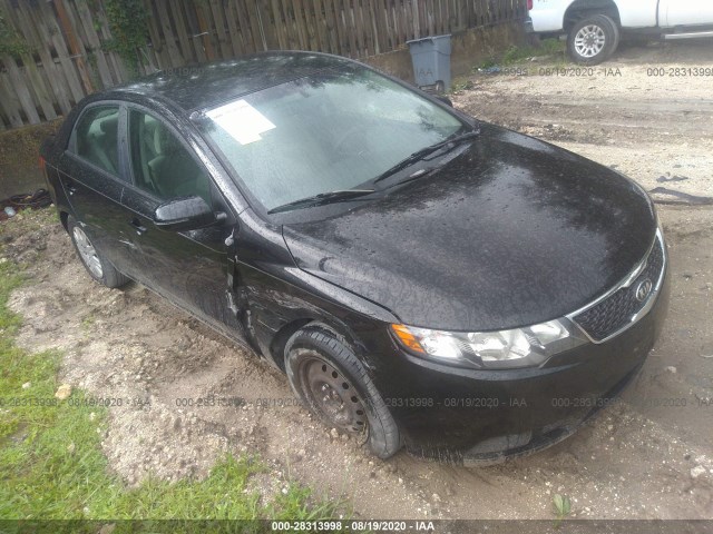 KIA FORTE 2013 knafu4a24d5735348