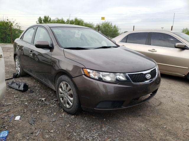 KIA FORTE EX 2013 knafu4a24d5737844