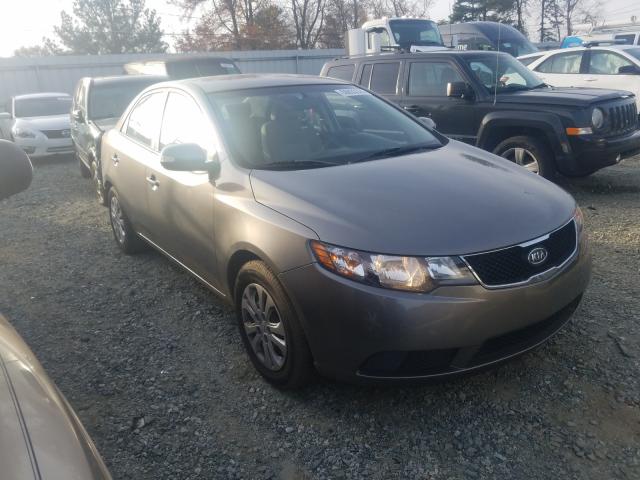 KIA FORTE EX 2010 knafu4a25a5047872