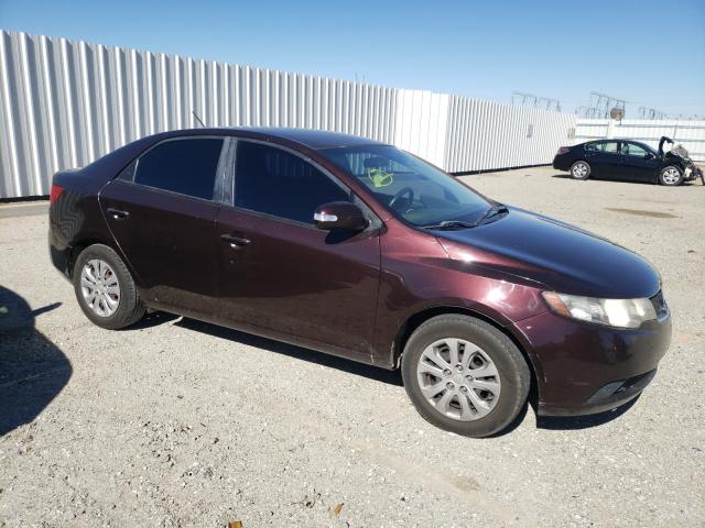 KIA FORTE EX 2010 knafu4a25a5054773