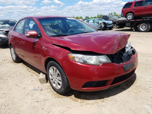 KIA FORTE EX 2010 knafu4a25a5055499