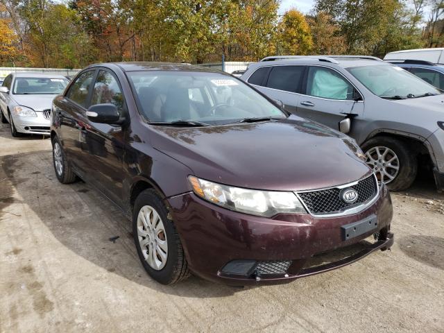 KIA FORTE EX 2010 knafu4a25a5059262