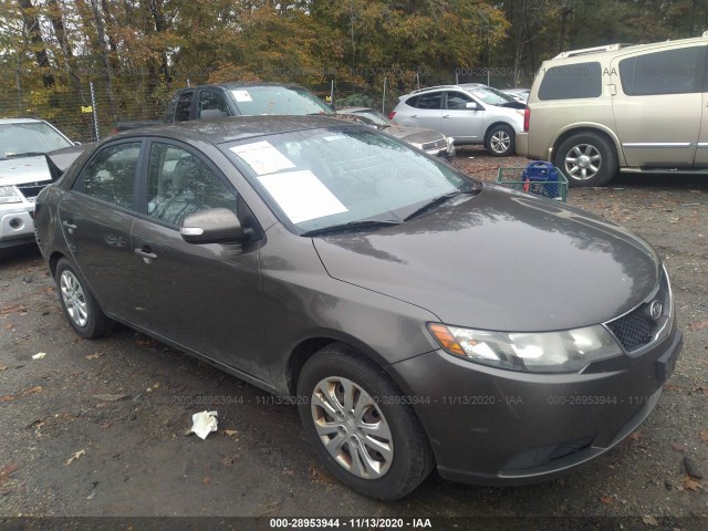 KIA FORTE 2010 knafu4a25a5061416