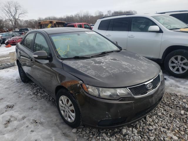 KIA FORTE EX 2010 knafu4a25a5062078