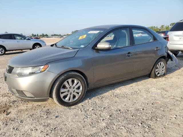 KIA FORTE EX 2010 knafu4a25a5063960