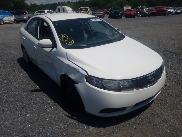 KIA FORTE EX 2010 knafu4a25a5067135