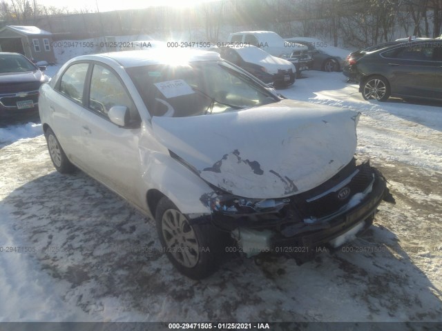 KIA FORTE 2010 knafu4a25a5067183