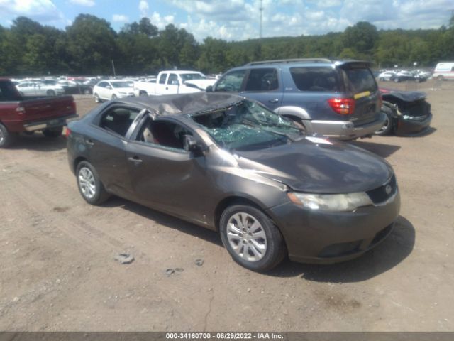 KIA FORTE 2010 knafu4a25a5085750